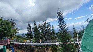 A rope bridge with a rainbow-colored walkway, surrounded by tall evergreen trees and a mountainous backdrop. - JVR Island in the Sky Resort (Balamban)
