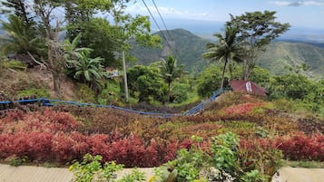 Jardim