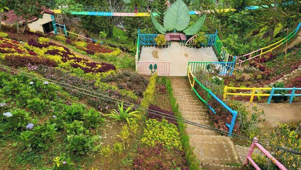 A garden with a central pathway, surrounded by colorful flower beds and various plants. - JVR Island in the Sky Resort (Balamban)