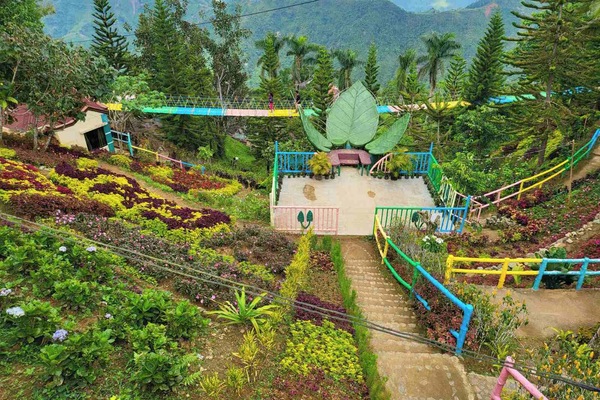 Garden view