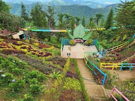 Vista para o jardim