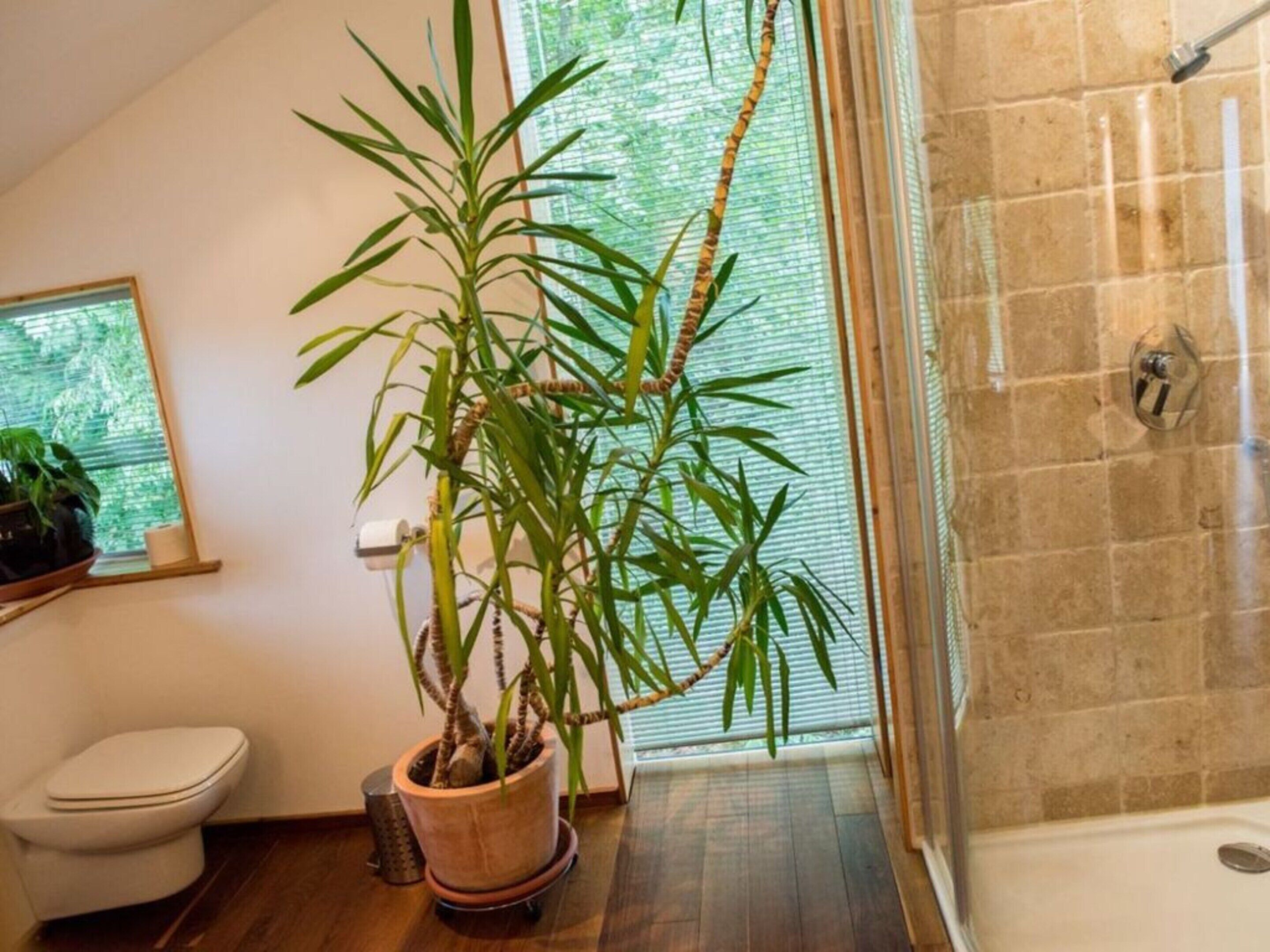House | Bathroom