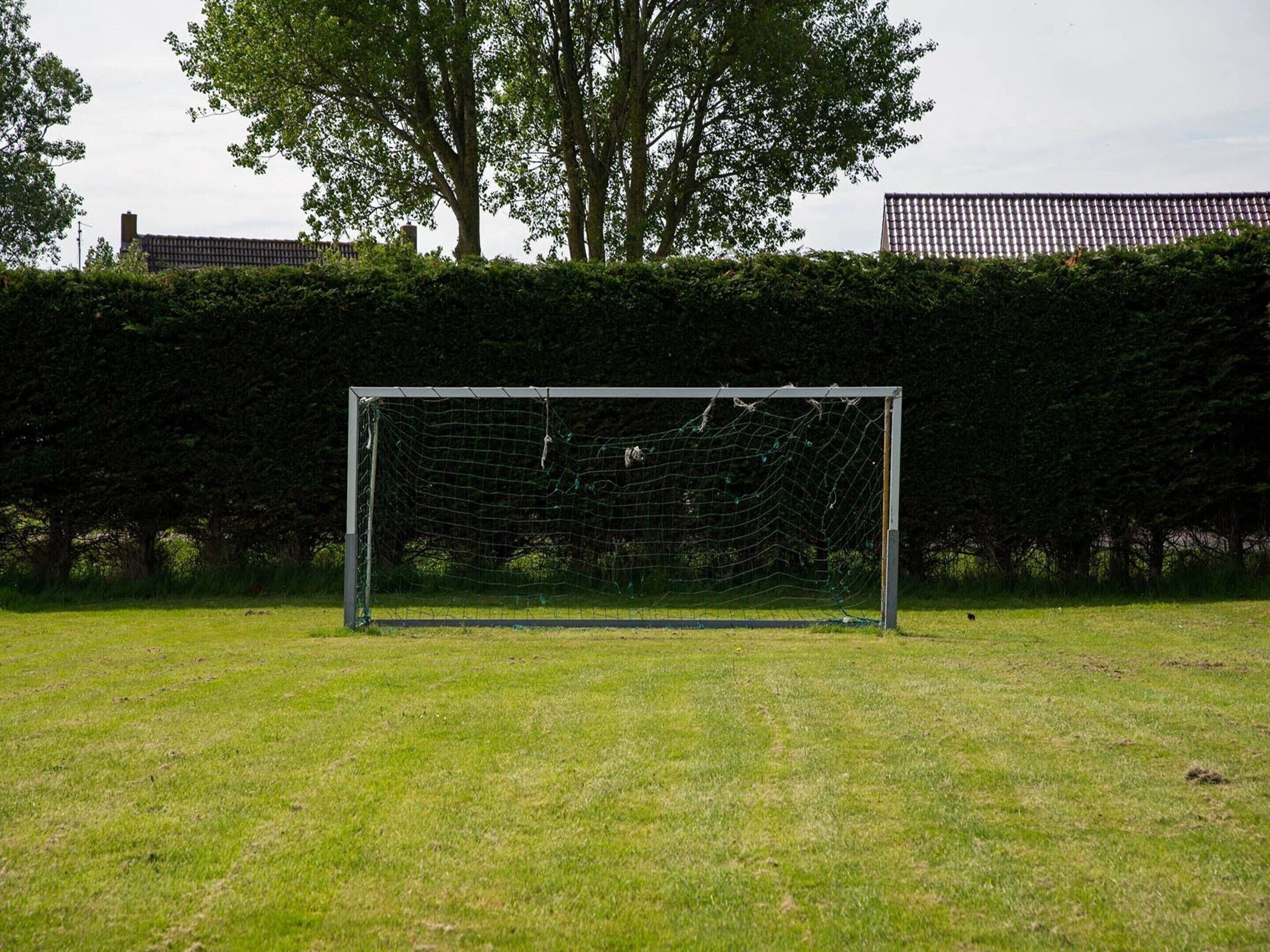 A soccer goal in a grassy field with a hedge and trees in the background.