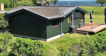 4 Star Holiday Home in Praesto