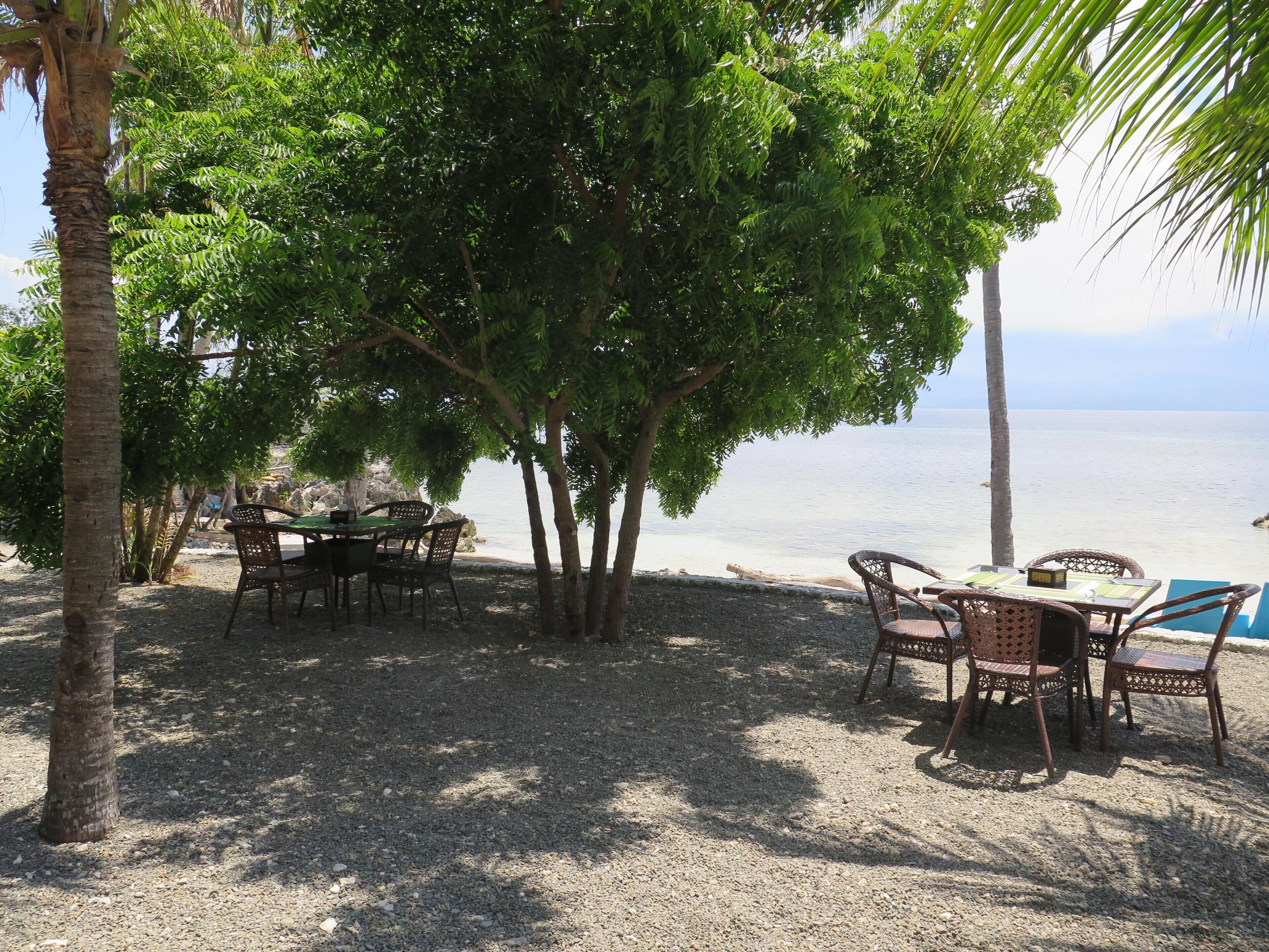 A beachside dining area with tables and chairs under a large tree, overlooking the sea.