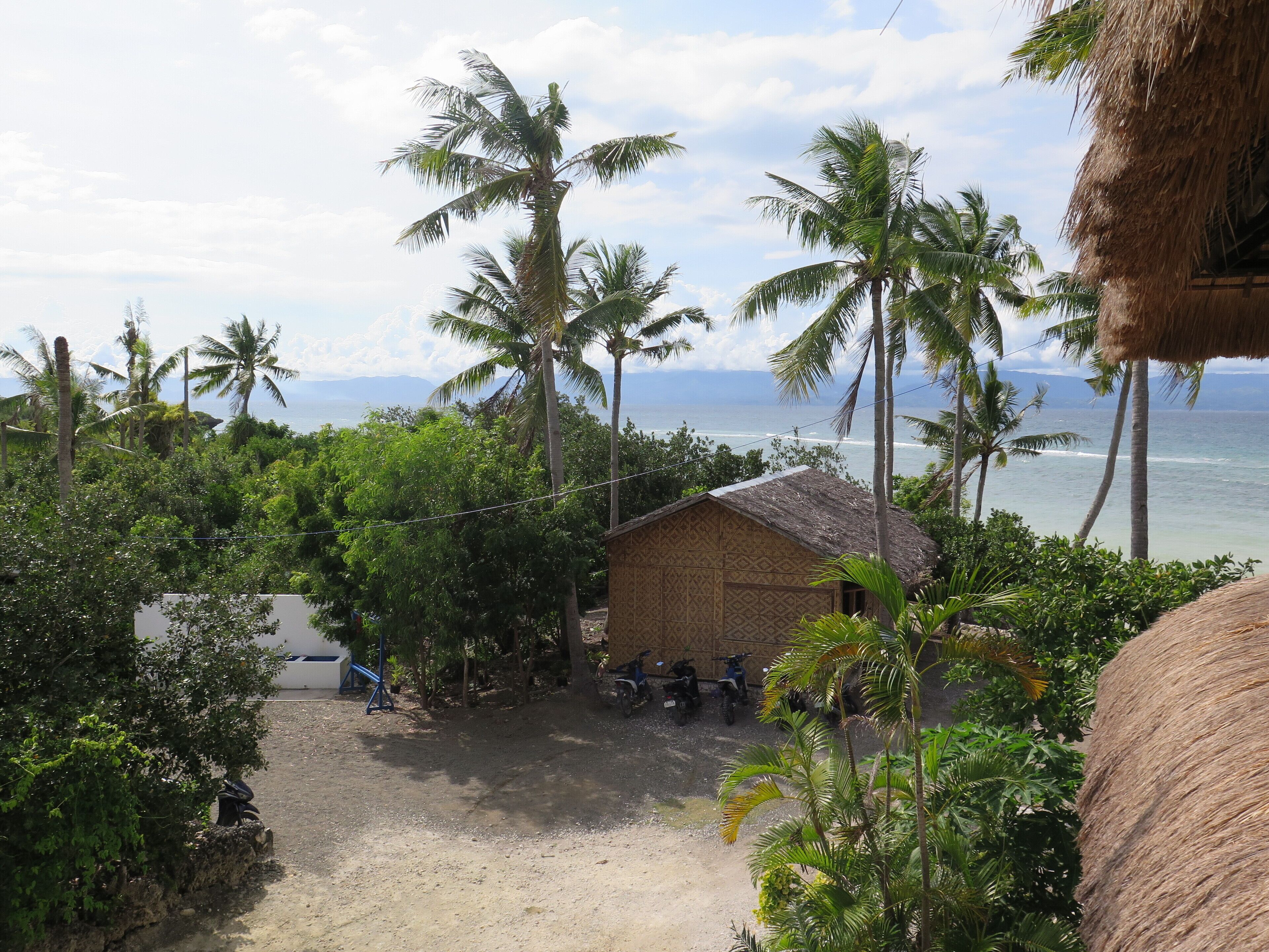 A beachside hut with a thatched roof, surrounded by palm trees and a view of the ocean.