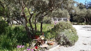 Ein Garten mit verschiedenen Pflanzen und Blumen, einem Kiesweg und einem Zaun.