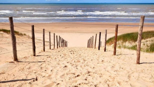 A sandy beach with a wooden fence leading to the ocean. - Unique House Within Walking Distance of the Beach (Katwijk Aan Zee)