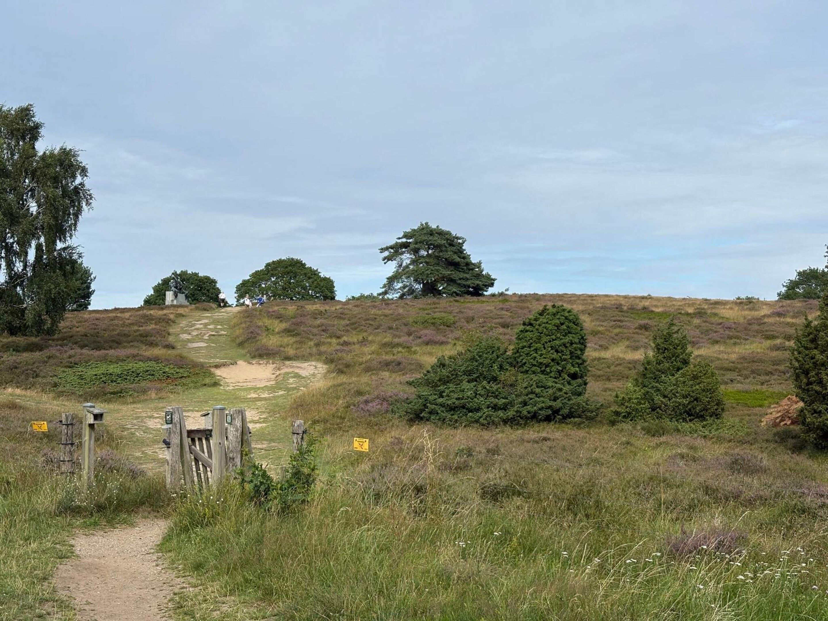 A natural landscape with a dirt path leading through a grassy area with trees and a wooden gate.