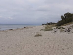 Uma praia arenosa com dunas e vegetação rala.