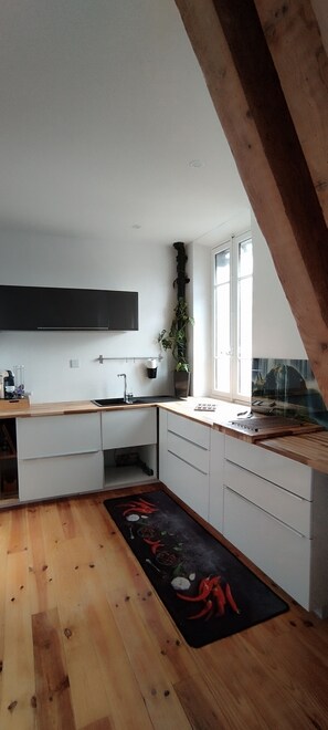 Fridge, microwave, stovetop, dishwasher - Appartement de 50 m2 Dans un Palace ! (Aix-les-Bains)