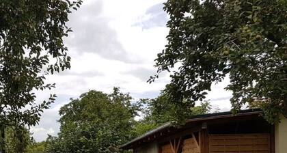 Appealing Apartment in Lubbenau