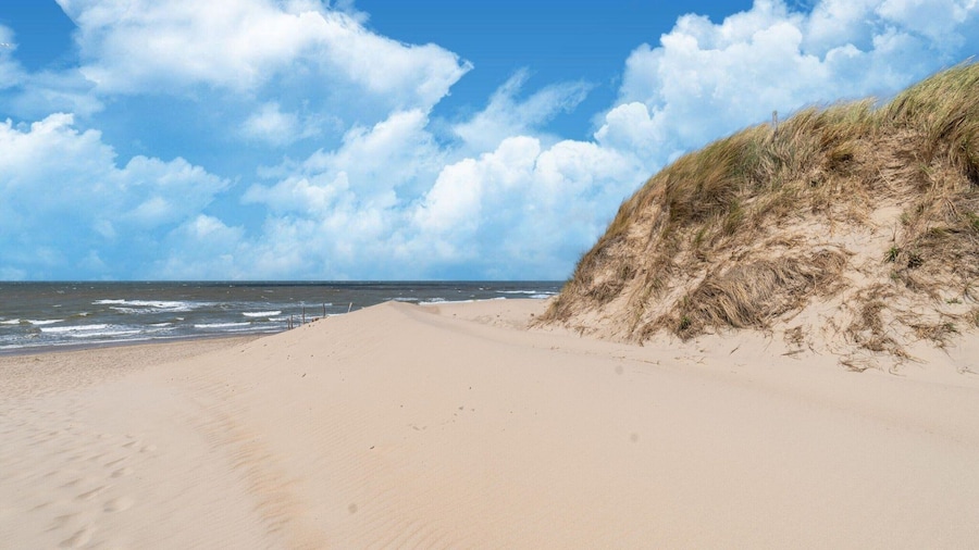 Nice Holiday Home in Callantsoog With Wellness