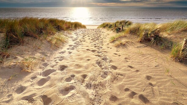 A sandy beach path leading to the sea with footprints, surrounded by grass and a cloudy sky. - Eco-friendly Villa With Terrace and Garden (Dirkshorn)