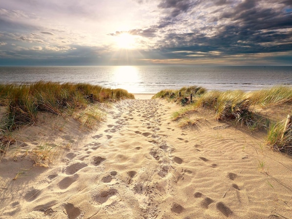 House | View from property - Eco-friendly Villa With Terrace and Garden (Dirkshorn)