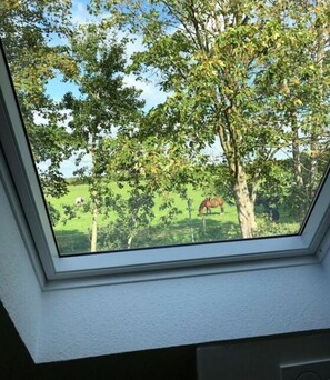 View from property - Holiday Home Maja am See (Aurich)