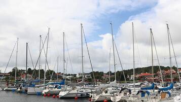 A marina with multiple sailboats docked, surrounded by houses and trees.