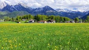 Et landligt landskab med en mark fyldt med gule blomster, huse og snedækkede bjerge i baggrunden.