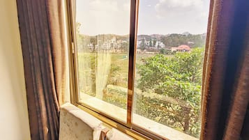 Deluxe Room | View from room