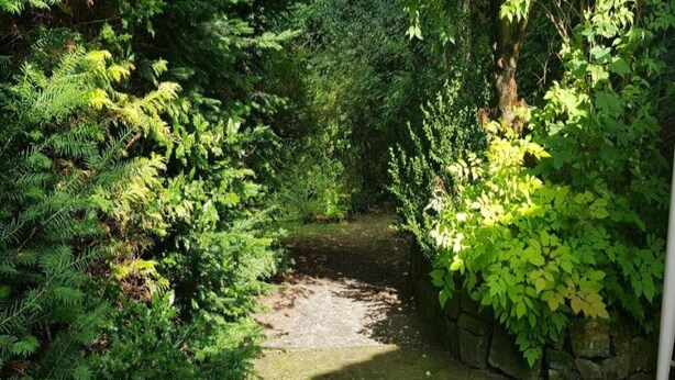 A garden with a small stream, dense foliage, and a stone wall. - Sonniges Dachgeschoss-refugium, Wildemann (Clausthal-Zellerfeld)