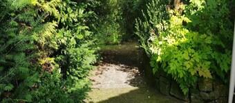 Sonniges Dachgeschoss-refugium, Wildemann