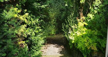 Sonniges Dachgeschoss-refugium, Wildemann