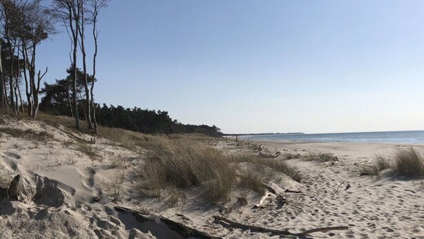 Ein Sandstrand mit Dünen und spärlicher Vegetation.