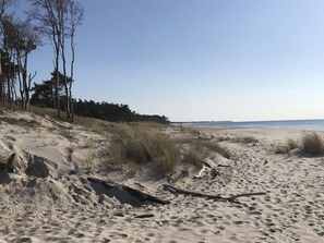 En sandstrand med klitter og sparsom beplantning.