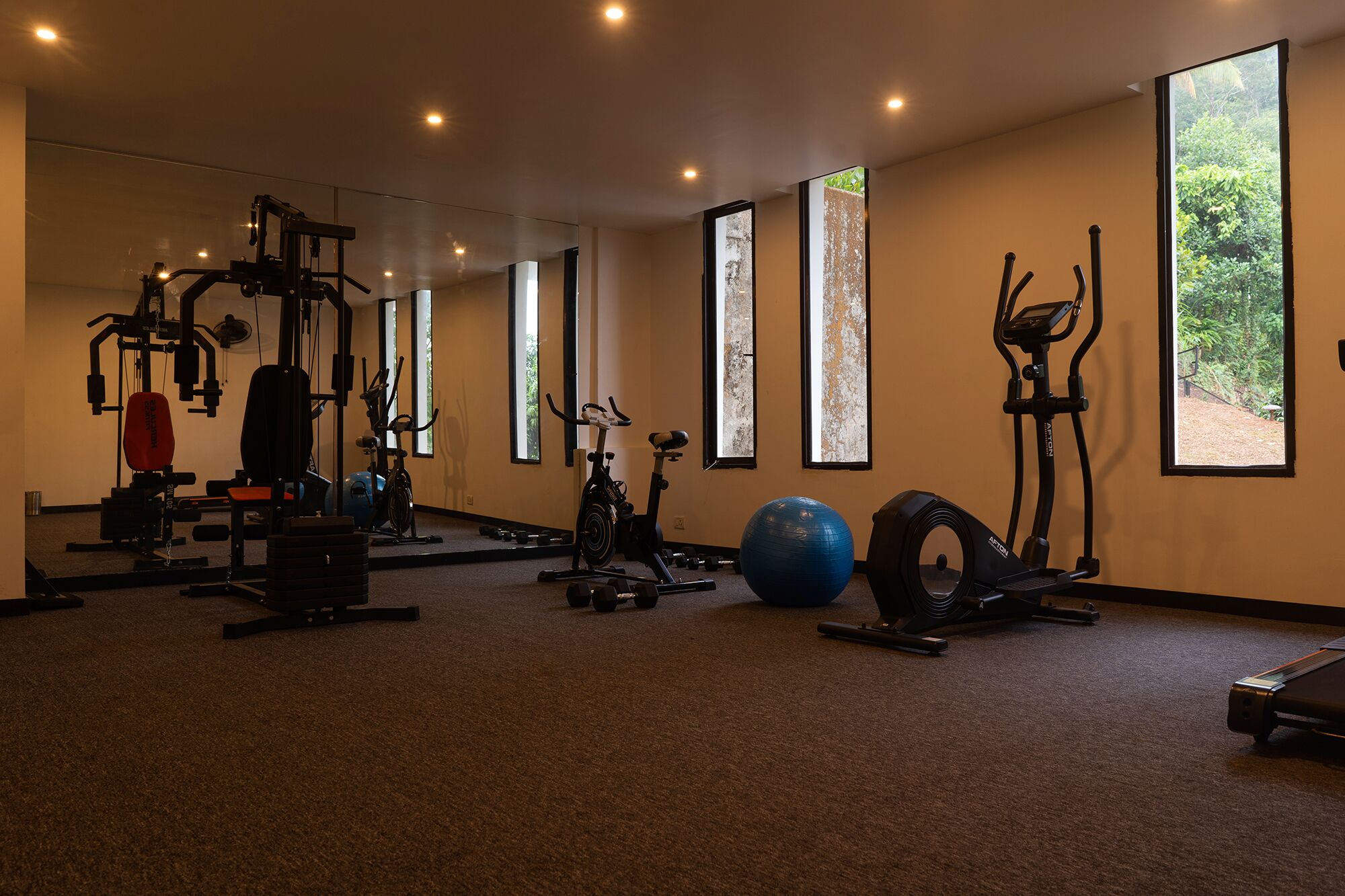 A gym with various exercise equipment, large windows, and a carpeted floor.