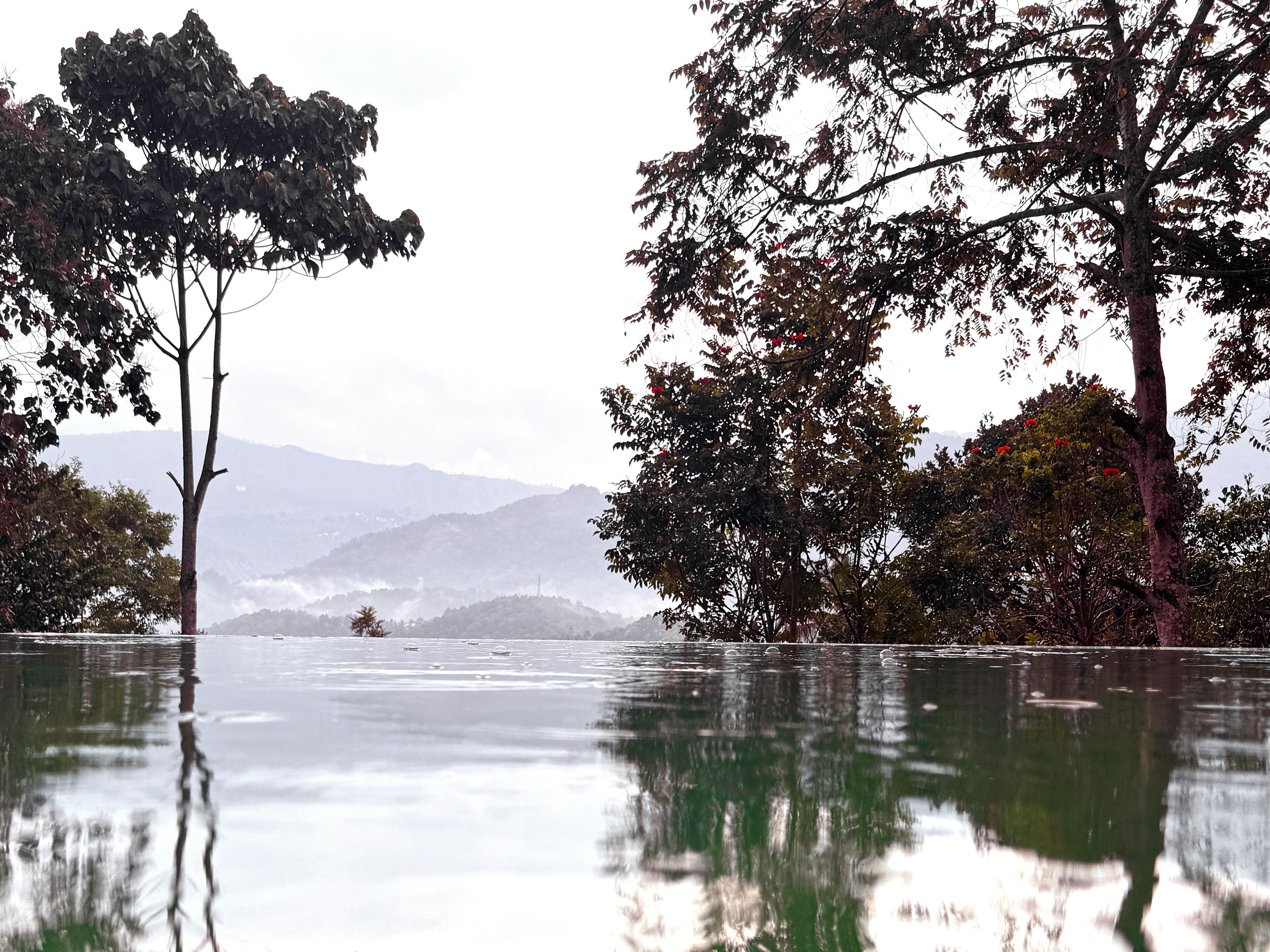 Un lago tranquilo con reflejos de árboles y montañas al fondo.