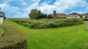 Ein grasbewachsenes Feld mit einer Hecke, einem Pfad und Häusern im Hintergrund.