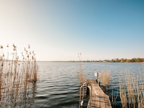 A wooden dock extending into calm water with tall reeds on either side.