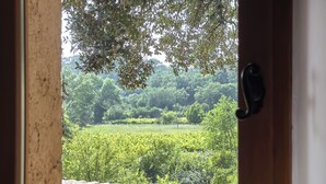 Blick durch eine Tür auf eine üppige, grüne Landschaft mit Bäumen und einem Feld.