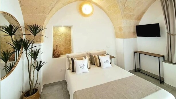 A bedroom with a stone ceiling, a bed with multiple pillows, a bedside table, a TV mounted on the wall, and a potted plant. - 1 Bedroom Bed & breakfast in Grottaglie (Grottaglie)