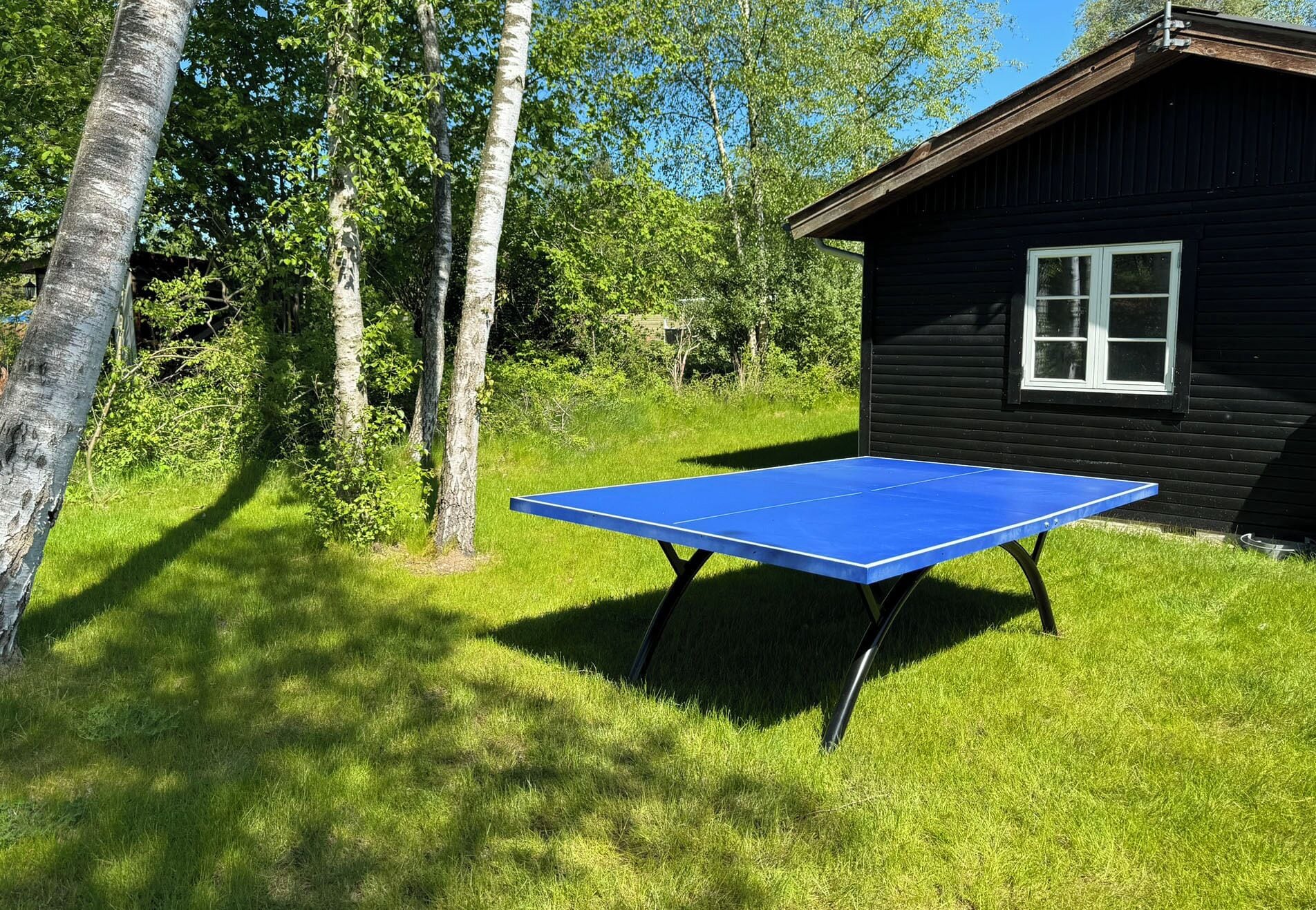 Une table de ping-pong bleue se trouve dans un espace verdoyant, avec des arbres et un chalet en bois en arrière-plan.