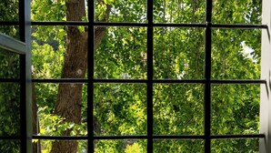 A window with a grid pattern, through which a tree and a car are visible. - Kenta Mountain Hotel (Volos)
