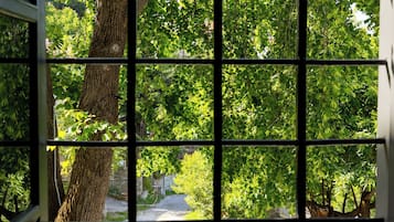 Superor Double or Twin Garden View | 花园景观