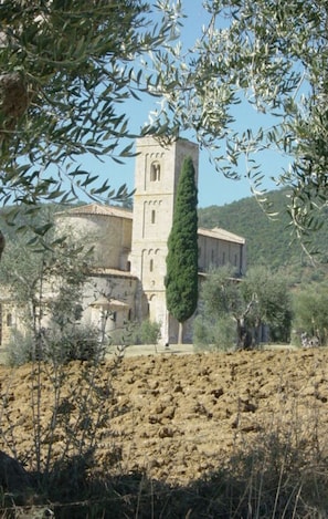 A historic building with a prominent tower, surrounded by olive trees and dry terrain.