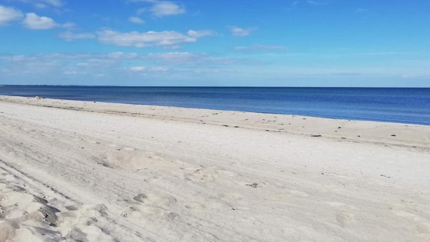 A beach with a clear sky and calm sea. - 4 Star Holiday Home in Vaeggerlose (Vaeggerlose)
