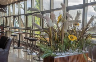 Bar (en la propiedad)