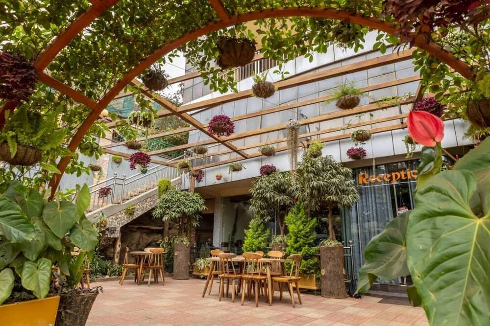 The Vinetea Hotel
