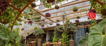 The Vinetea Hotel