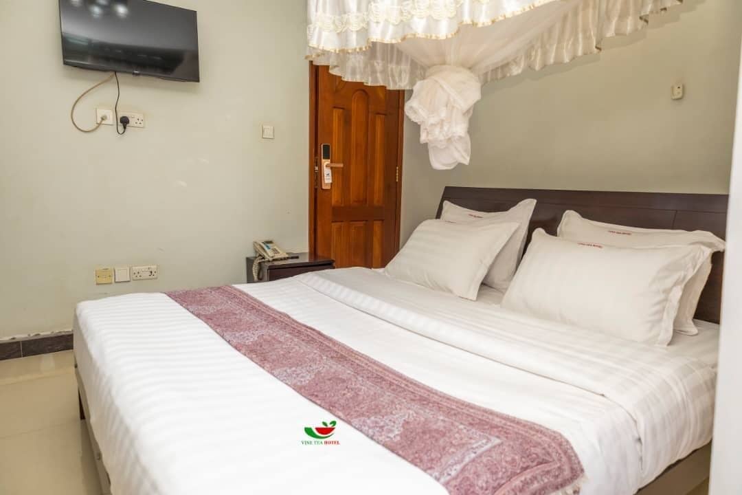 A hotel room with a bed, a TV mounted on the wall, a wooden door, and a white canopy over the bed.
