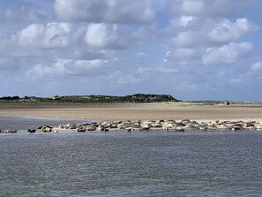 In Strandnähe