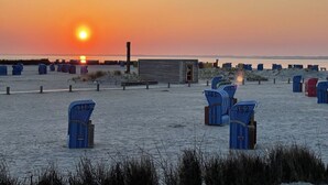 Une plage bordée de rangées de chaises de plage bleues, avec une structure en bois en arrière-plan.