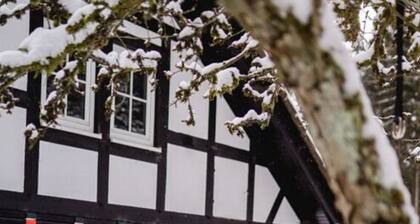 Felsberg Modern Retreat