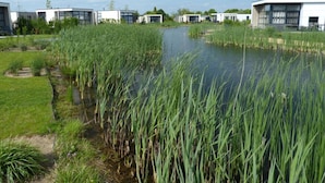 A modern building complex with a water feature in the foreground. - 55 by the Water (Olburgen)