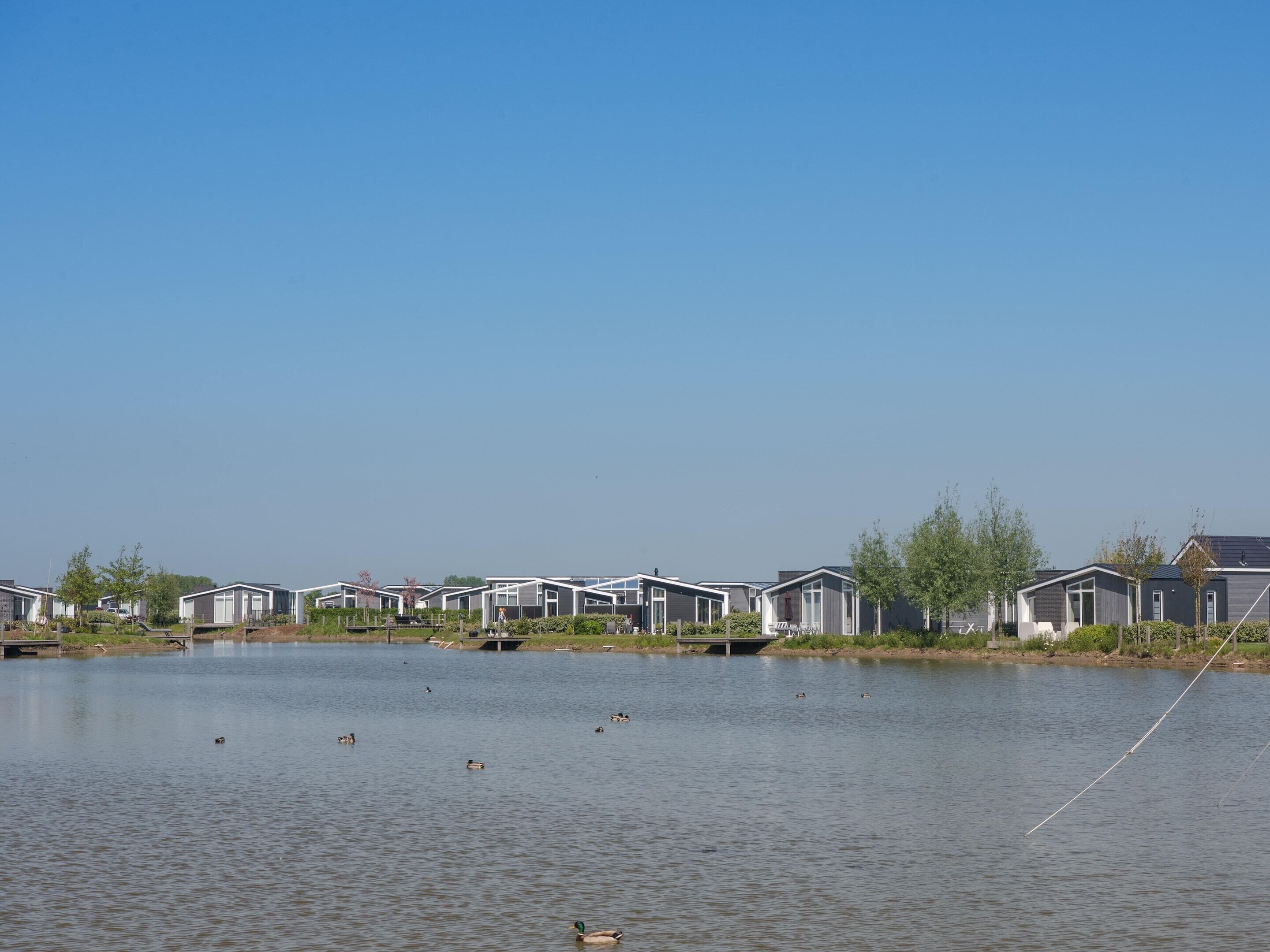 A row of modern, single-story mobile homes by a calm lake with ducks swimming.