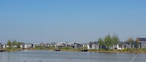 A row of modern, single-story mobile homes by a calm lake with ducks swimming.