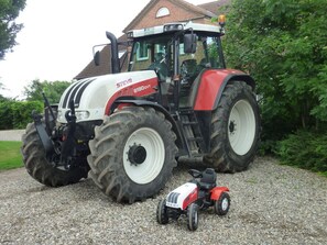 Property grounds - Farm Ferienhof Albert (Gremersdorf)